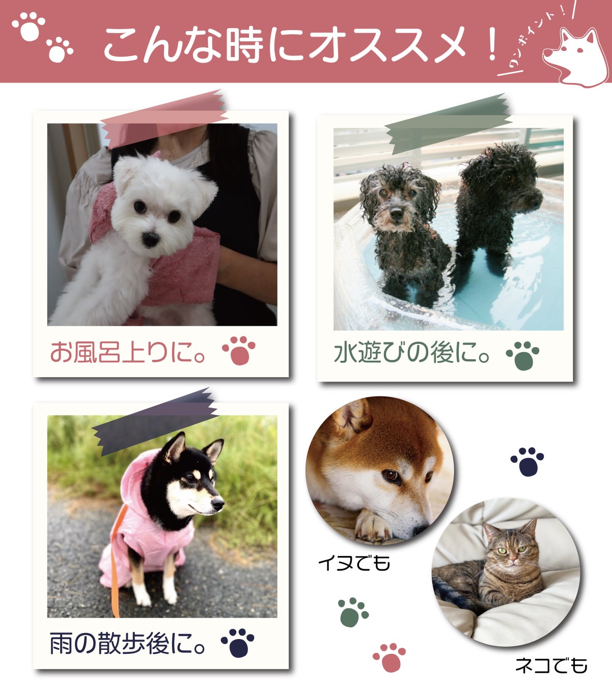 【吸水性8倍でタオルドライ時短】お風呂がもっと楽しくなる。スーパー吸水ペットタオルがアタラシイものや体験の応援購入サービス「Makuake（マクアケ）」にて、先行販売開始！のサブ画像5