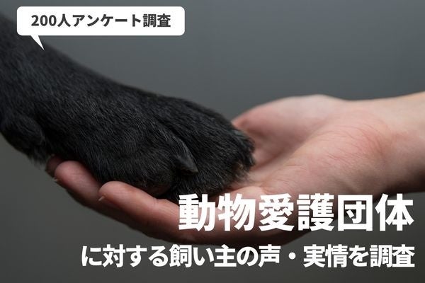 「里親になる条件が時代にあってない？」保護犬に興味がある200人に動物愛護団体に対するリアルな意見を調査のサブ画像1