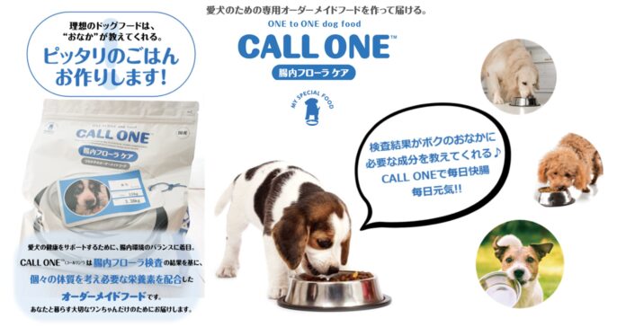 検査から作るオーダーメイドドッグフード【CALL ONE】生活習慣に合わせた新プランが登場！のメイン画像