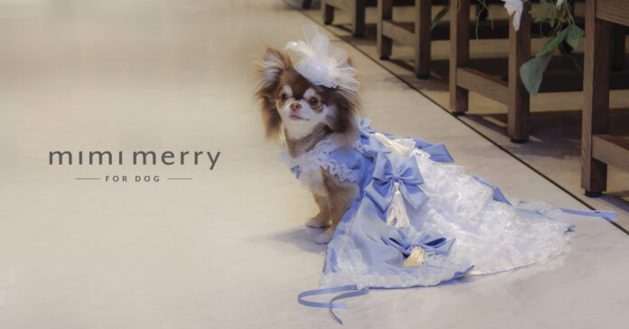 犬用変身ドレスブランドmimimerry(ミミーメリー)の魅力を詰め込んだ新作動画を４本立てで公開！のメイン画像