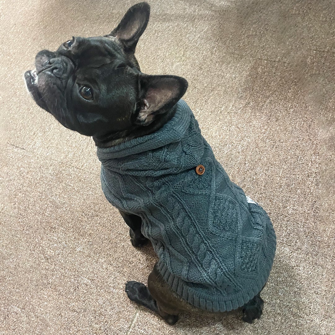 ワンちゃんのお出かけを楽しくする犬用アウターウェアが犬の靴・靴下を展開するPET's ADVANCE(ペットアドバンス)から新発売！ のサブ画像3