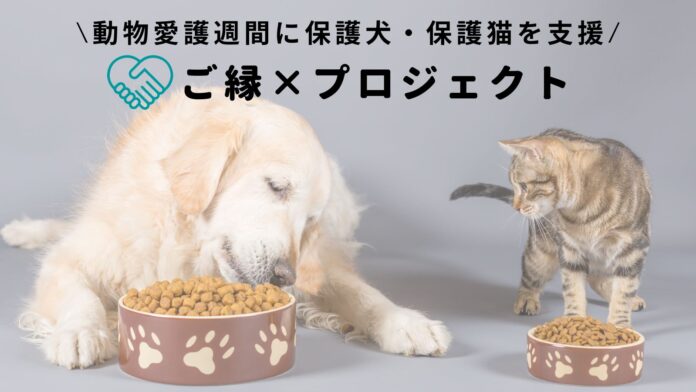 1アクションで保護犬・保護猫たちに物資を寄付！topetが第四弾となる動物保護団体支援の『ご縁×プロジェクト』を実施のメイン画像