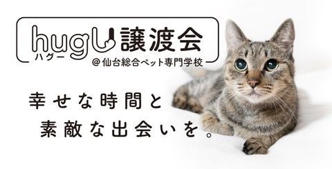 保護犬・保護猫に新たな出会いを。ペットの里親募集サイト『hugU』、初の”リアル譲渡会”を開催　　～好評につき第3回も9月19日（月）に開催予定！～のサブ画像1