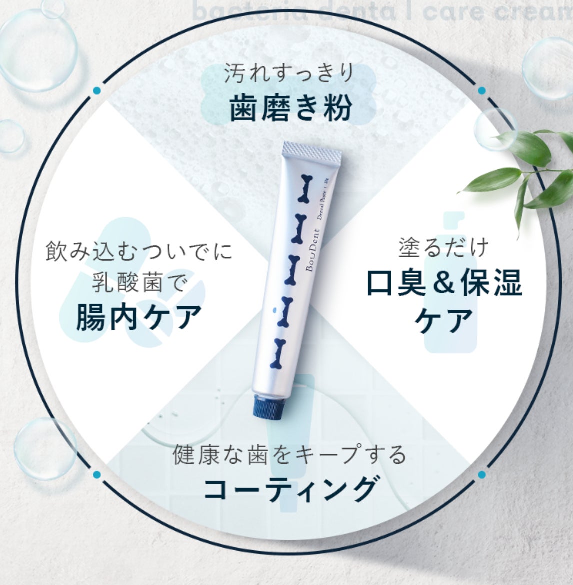 BowDentがホームページをリニューアル！歯磨き粉単品での販売を開始のサブ画像2