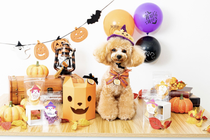 国内最大級の犬情報メディア「FLAFFY」がギフトモールと協業。ハロウィン限定の愛犬おやつギフトをGiftmallで限定販売開始のメイン画像