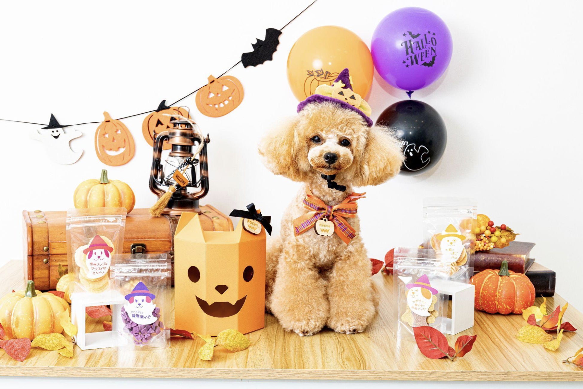 国内最大級の犬情報メディア「FLAFFY」がギフトモールと協業。ハロウィン限定の愛犬おやつギフトをGiftmallで限定販売開始のサブ画像1