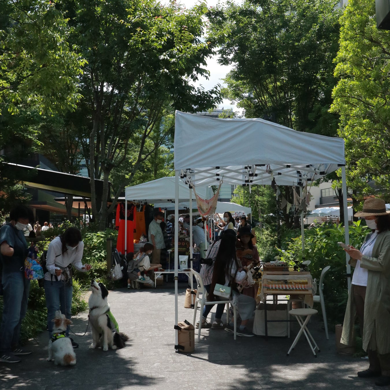 10/14(金)～16(日)　ドッグイベント「Wouaf-Wouaf Marché（ワフワフマルシェ）」JR立川駅北口／複合施設「GREEN SPRINGS」にて開催のサブ画像2