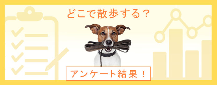 ペットと一緒に運動したいスポーツの秋！散歩コースはどうやって選ぶ？：『ペット保険比較のピクシー』のメイン画像