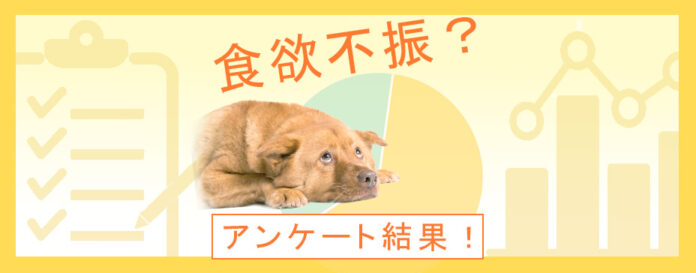 季節の変化に要注意！ペットが食欲不振になった原因とは？：『ペット保険比較のピクシー』のメイン画像