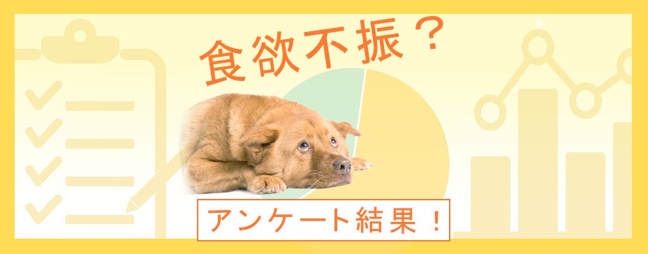 季節の変化に要注意！ペットが食欲不振になった原因とは？：『ペット保険比較のピクシー』のサブ画像1
