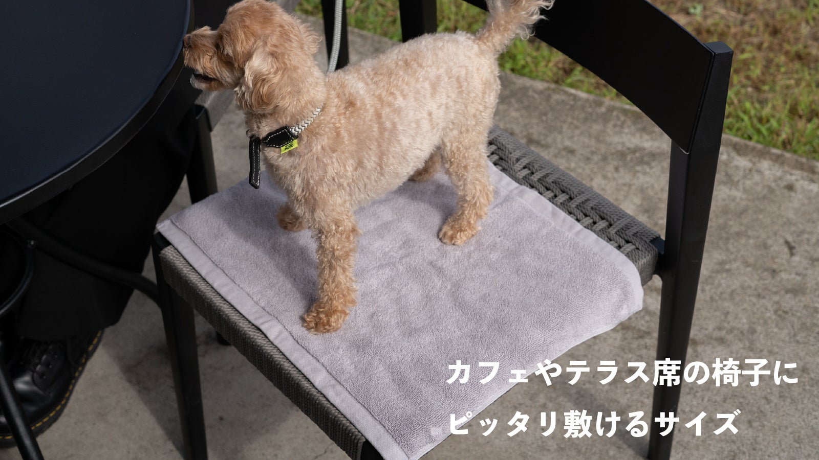 【inuno.】心地よさと使いやすさを追求した、上質なタオル生地のワンちゃん用カフェマットをMakuakeにて先行発売スタートのサブ画像6