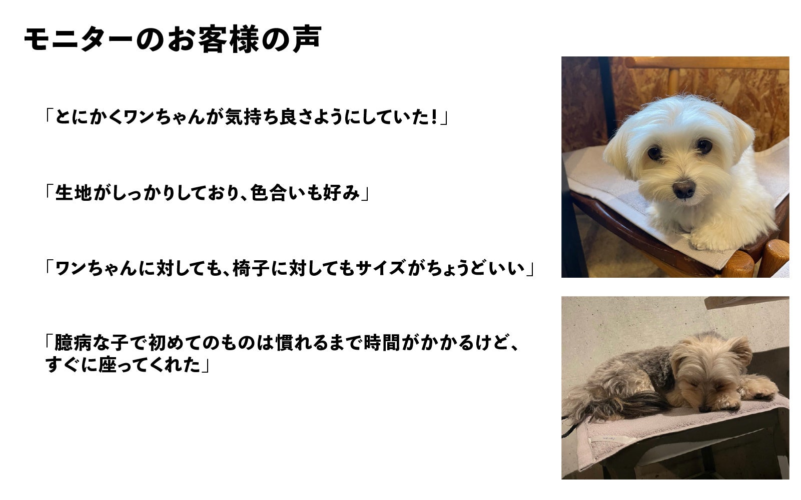 【inuno.】心地よさと使いやすさを追求した、上質なタオル生地のワンちゃん用カフェマットをMakuakeにて先行発売スタートのサブ画像9