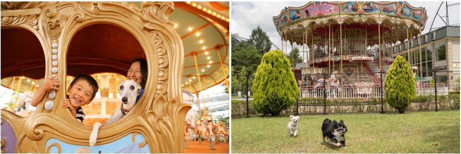 入園無料の富士急で、愛犬と一緒に遊園地を楽しもう!!11（ワンワン）月は「ふじＱワンぱーく」のサブ画像1