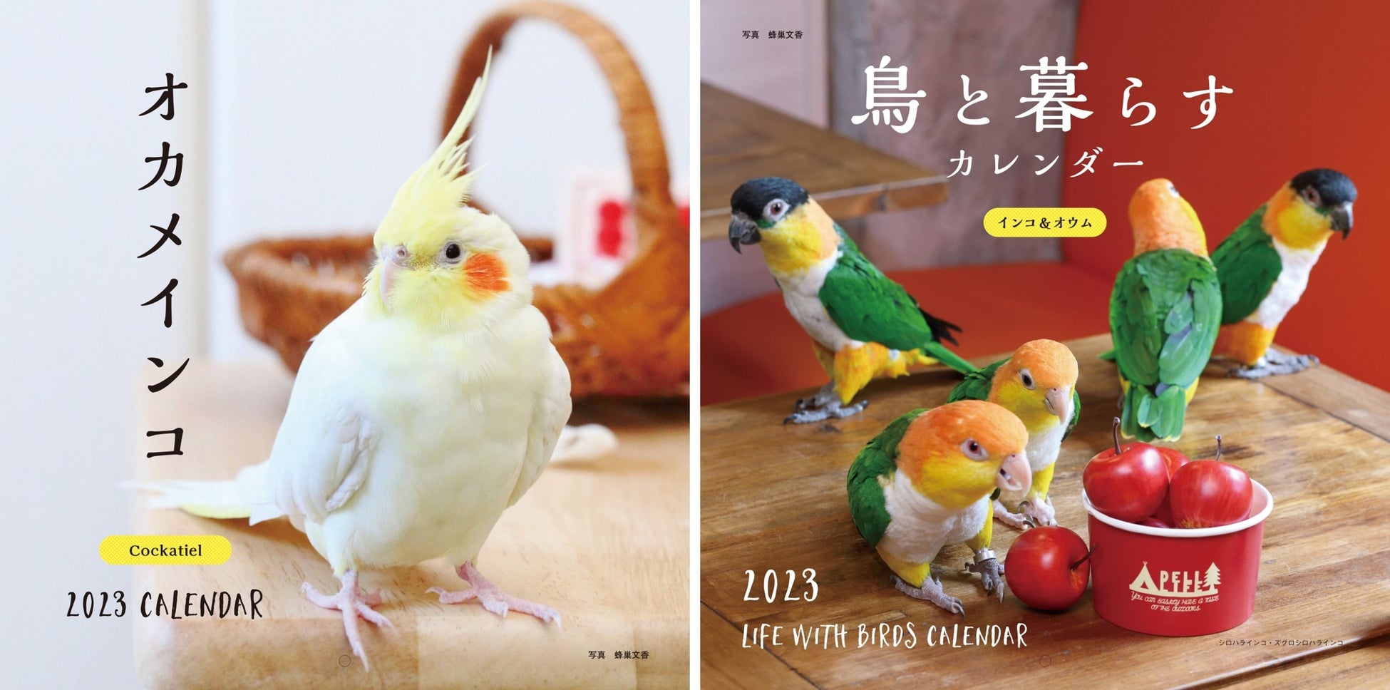 毎年大好評！ラインナップ豊富な【2023年 カレンダー】が発売開始。のサブ画像3