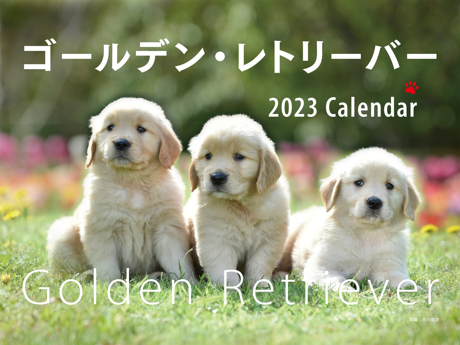 毎年大好評！ラインナップ豊富な【2023年 カレンダー】が発売開始。のサブ画像8