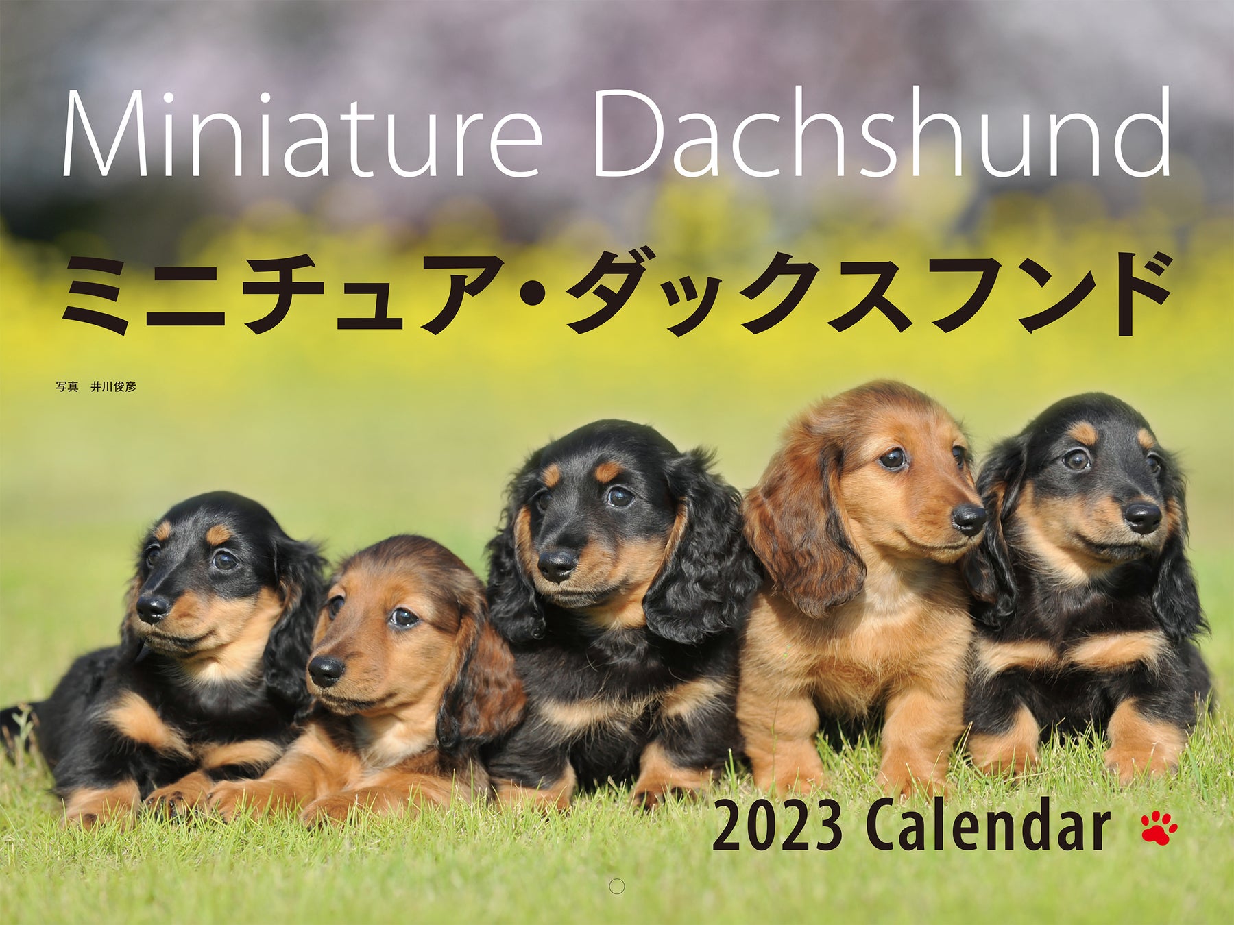 毎年大好評！ラインナップ豊富な【2023年 カレンダー】が発売開始。のサブ画像9