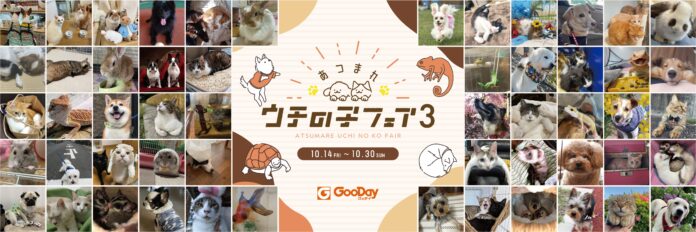 みんなのワンちゃんネコちゃん大集合グッデイ『あつまれ ウチの子フェア3』開催！のメイン画像
