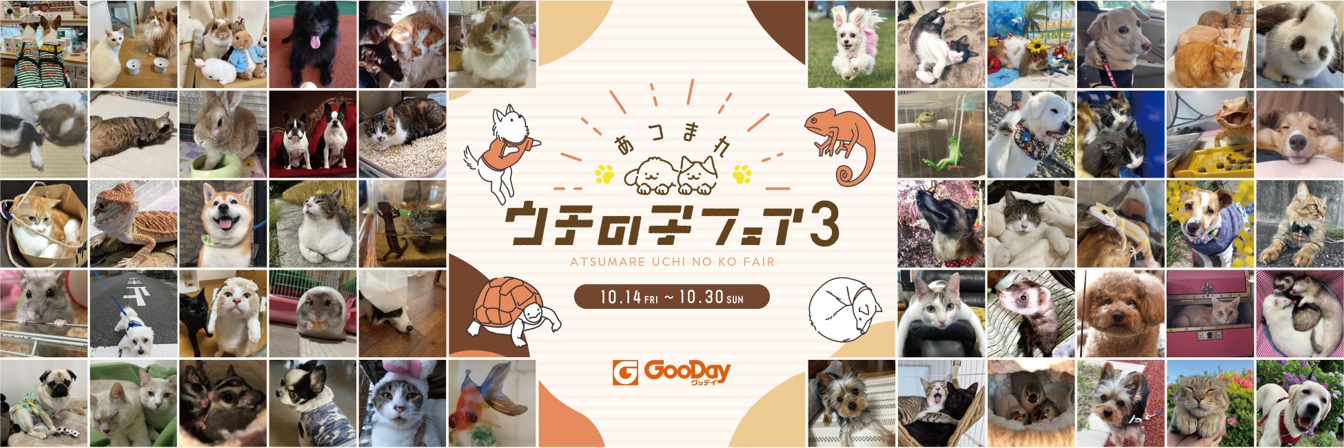 みんなのワンちゃんネコちゃん大集合グッデイ『あつまれ ウチの子フェア3』開催！のサブ画像1