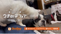 みんなのワンちゃんネコちゃん大集合グッデイ『あつまれ ウチの子フェア3』開催！のサブ画像4
