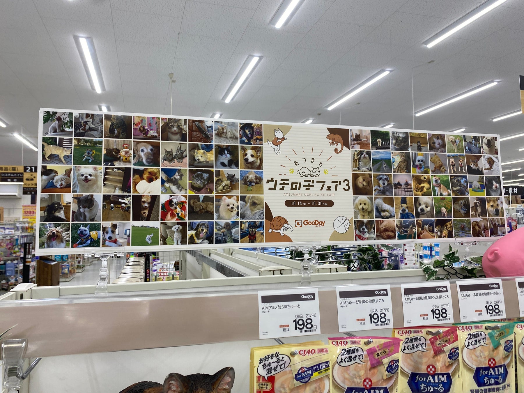 みんなのワンちゃんネコちゃん大集合グッデイ『あつまれ ウチの子フェア3』開催！のサブ画像7