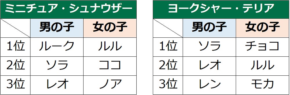 第18回　犬の名前ランキング2022発表！のサブ画像10