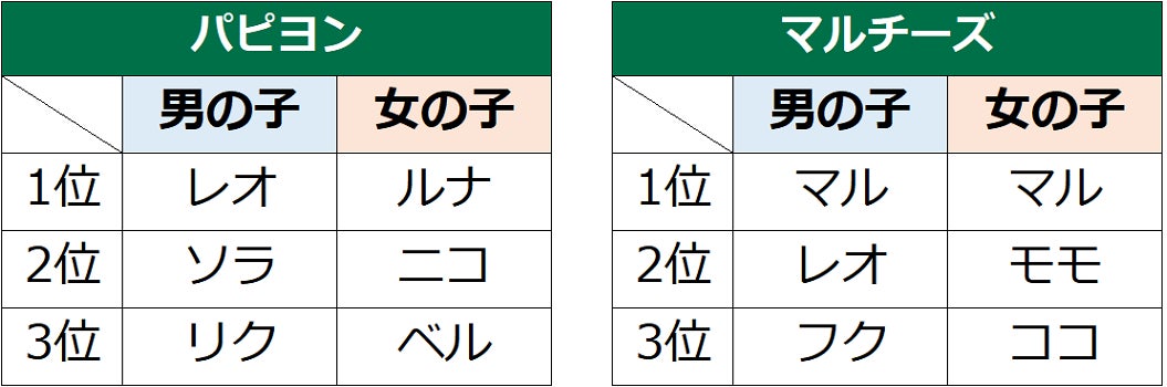 第18回　犬の名前ランキング2022発表！のサブ画像12