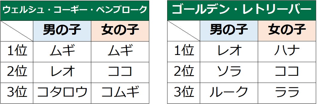 第18回　犬の名前ランキング2022発表！のサブ画像13