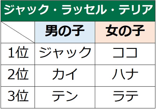 第18回　犬の名前ランキング2022発表！のサブ画像14