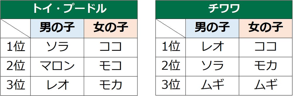第18回　犬の名前ランキング2022発表！のサブ画像7