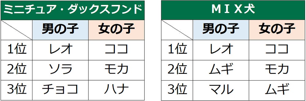 第18回　犬の名前ランキング2022発表！のサブ画像8