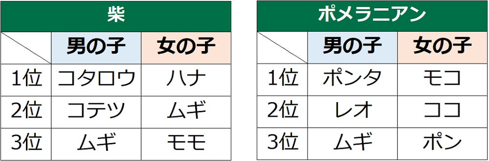 第18回　犬の名前ランキング2022発表！のサブ画像9