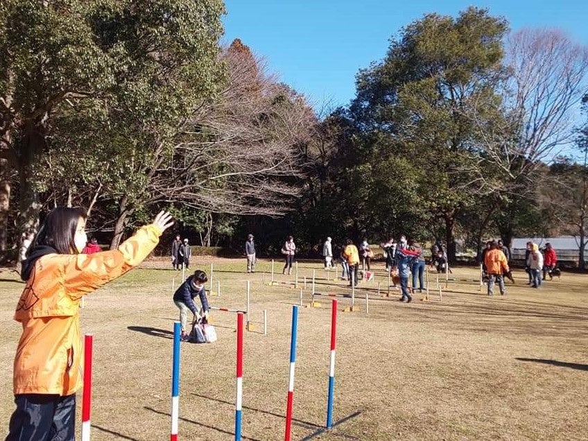 【期間限定ドッグラン】幕張エリアに登場！2022年10月22日（土）・23日（日）広い芝生広場でミニゲームなど愛犬と楽しめる2日間（千葉県立幕張海浜公園）のサブ画像8_ドッグスポーツ「アジリティ」も体験できる