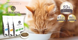 ペットの健康としあわせを考える犬・猫イベント「ワンニャンと、いつまでも一緒展」を丸井吉祥寺店で開催します！のサブ画像3