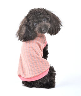 ペットの健康としあわせを考える犬・猫イベント「ワンニャンと、いつまでも一緒展」を丸井吉祥寺店で開催します！のサブ画像5
