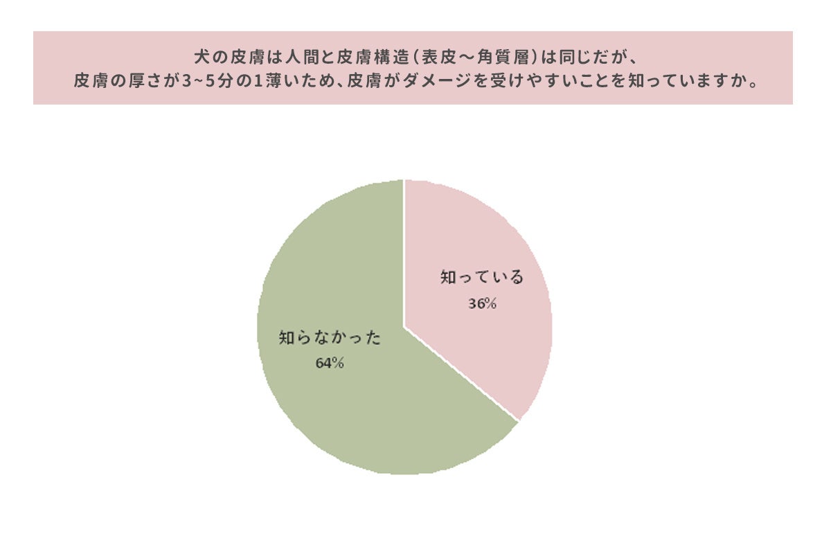11月1日は「犬の日」 ペットもスキンケアをする時代犬の高齢化と共に”皮膚トラブル予防”への意識が5割上昇のサブ画像6
