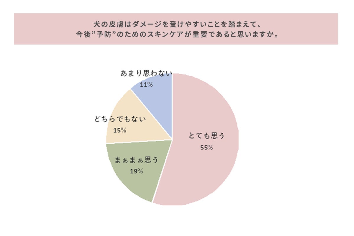 11月1日は「犬の日」 ペットもスキンケアをする時代犬の高齢化と共に”皮膚トラブル予防”への意識が5割上昇のサブ画像7
