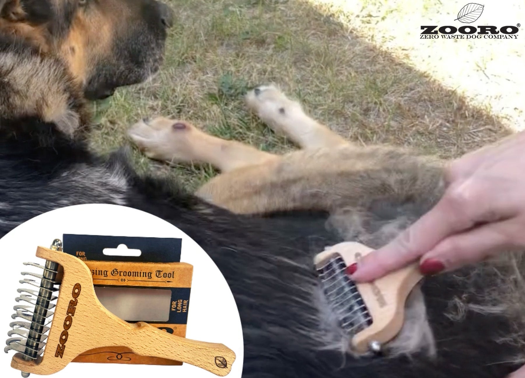 長毛の犬猫専用の抜け毛取り『ゾロ グルーミングコーム ロングタイプ』ついに日本上陸！世界18ヵ国のペットオーナーたちが大満足のサブ画像2