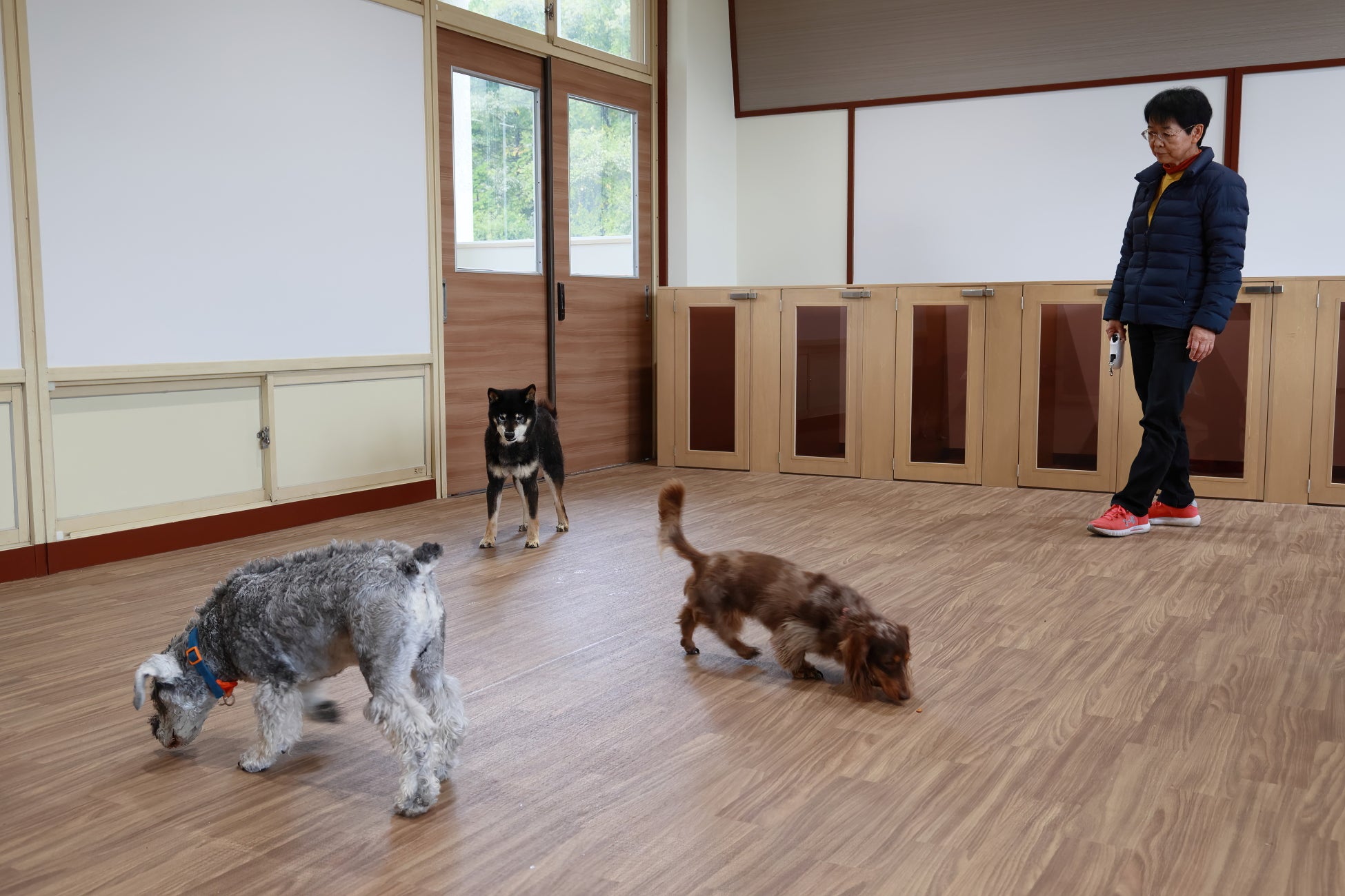 飼い主にもしものことがあった場合、終生飼養や一時預かりが可能に！飼い主と愛犬のための新施設 ＆HAUS をオープン！のサブ画像7