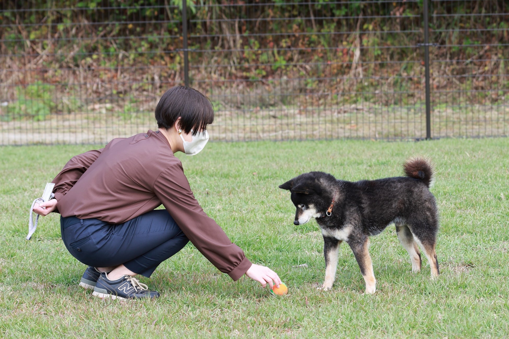 飼い主にもしものことがあった場合、終生飼養や一時預かりが可能に！飼い主と愛犬のための新施設 ＆HAUS をオープン！のサブ画像8