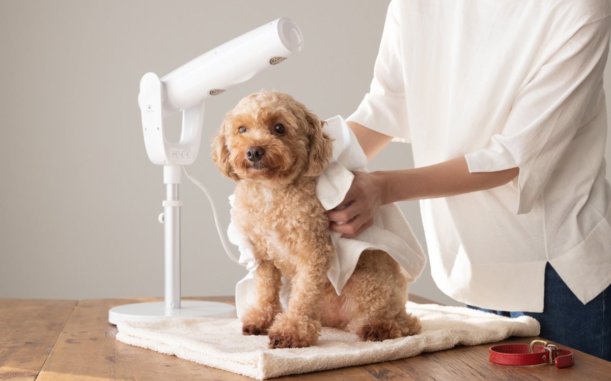 【ワンちゃん嬉しい♪愛犬家必見！】犬の自宅シャンプーに『楽々ペット用ハンズフリー・ドライヤー』ペティオン・スリム発売！のサブ画像3