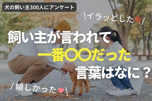 何気ない一言が傷つけてしまうかも！愛犬に対して心無い言葉をかけられた飼い主は31.3％【飼い主300人アンケート】のサブ画像1