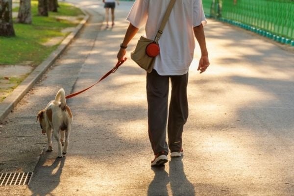 何気ない一言が傷つけてしまうかも！愛犬に対して心無い言葉をかけられた飼い主は31.3％【飼い主300人アンケート】のサブ画像8