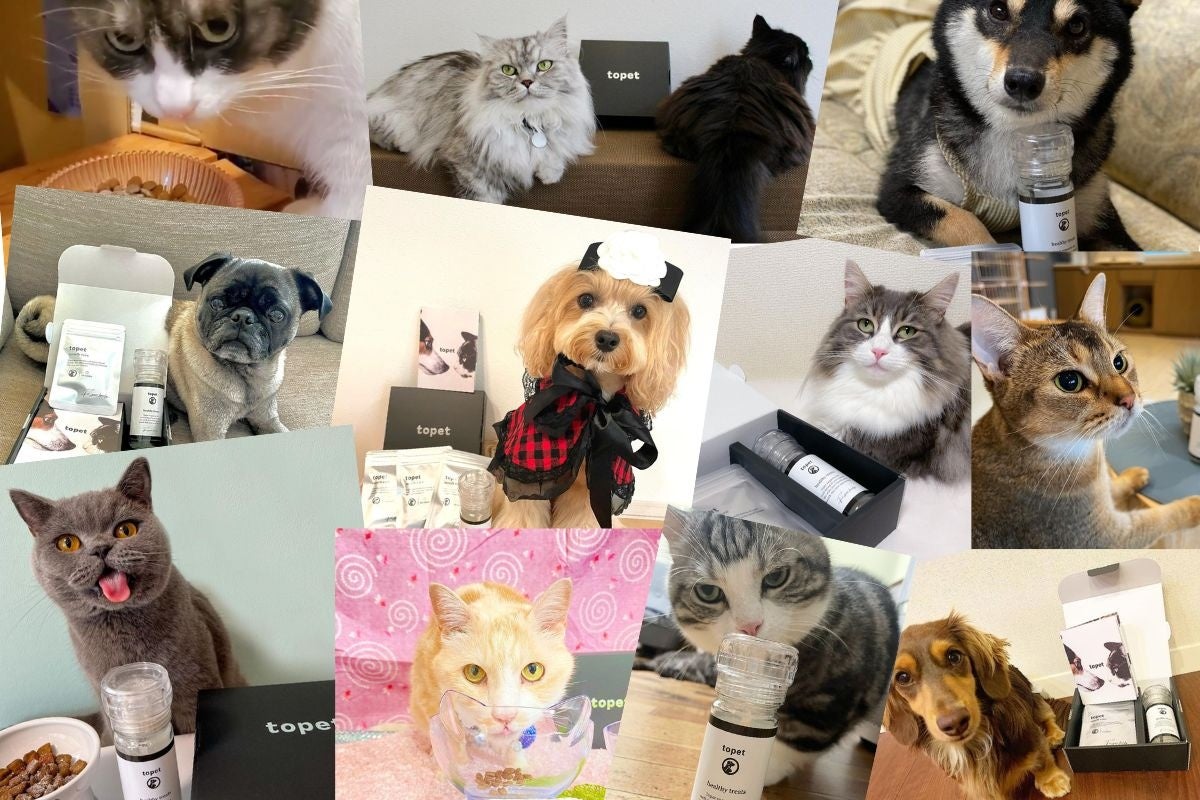 クラウドファンディングで目標達成率937%の犬猫用口腔ケアふりかけ「お口のふりかけ」一部店舗で取扱開始のサブ画像5