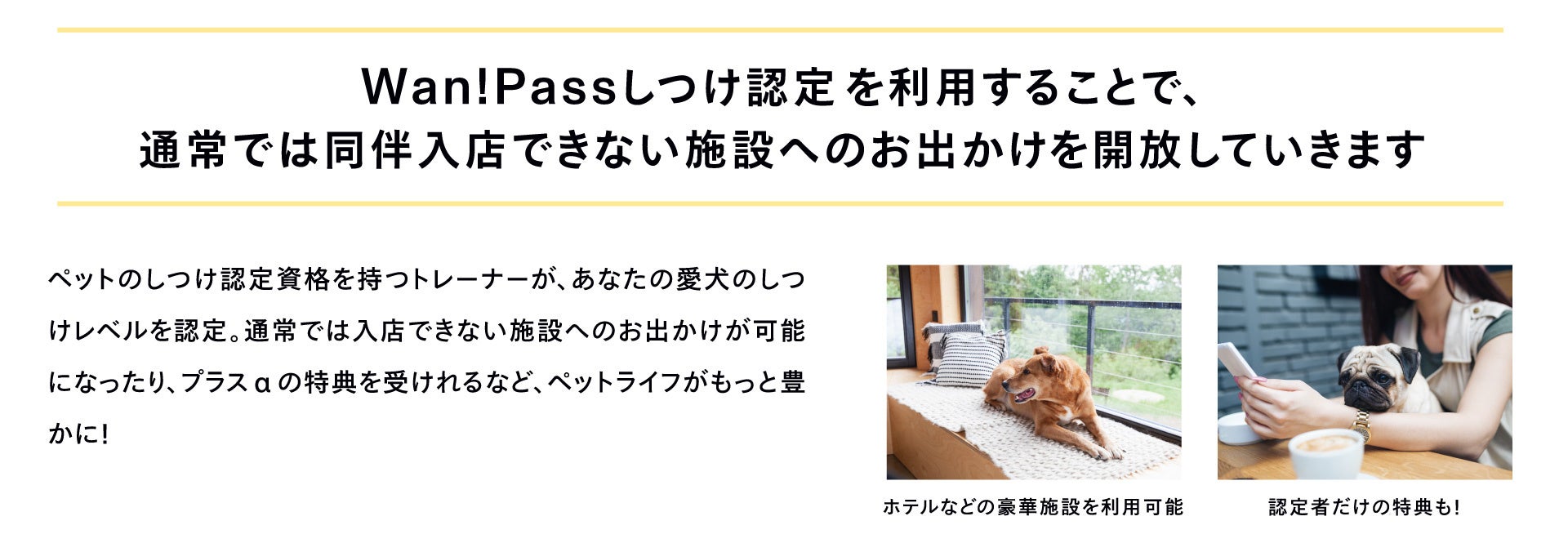 ペットお出かけ支援アプリ「Wan! Pass」(ワンパス）、新機能『Wan! Pass認定』リリースのサブ画像3