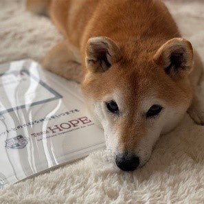 ～ペットの健康診断 受診体験記　WEBサイト公開～10月13日（じゅういさん）は「ペットの健康診断の日」のサブ画像1_Team HOPEわんわん応援団の柴犬マロたん