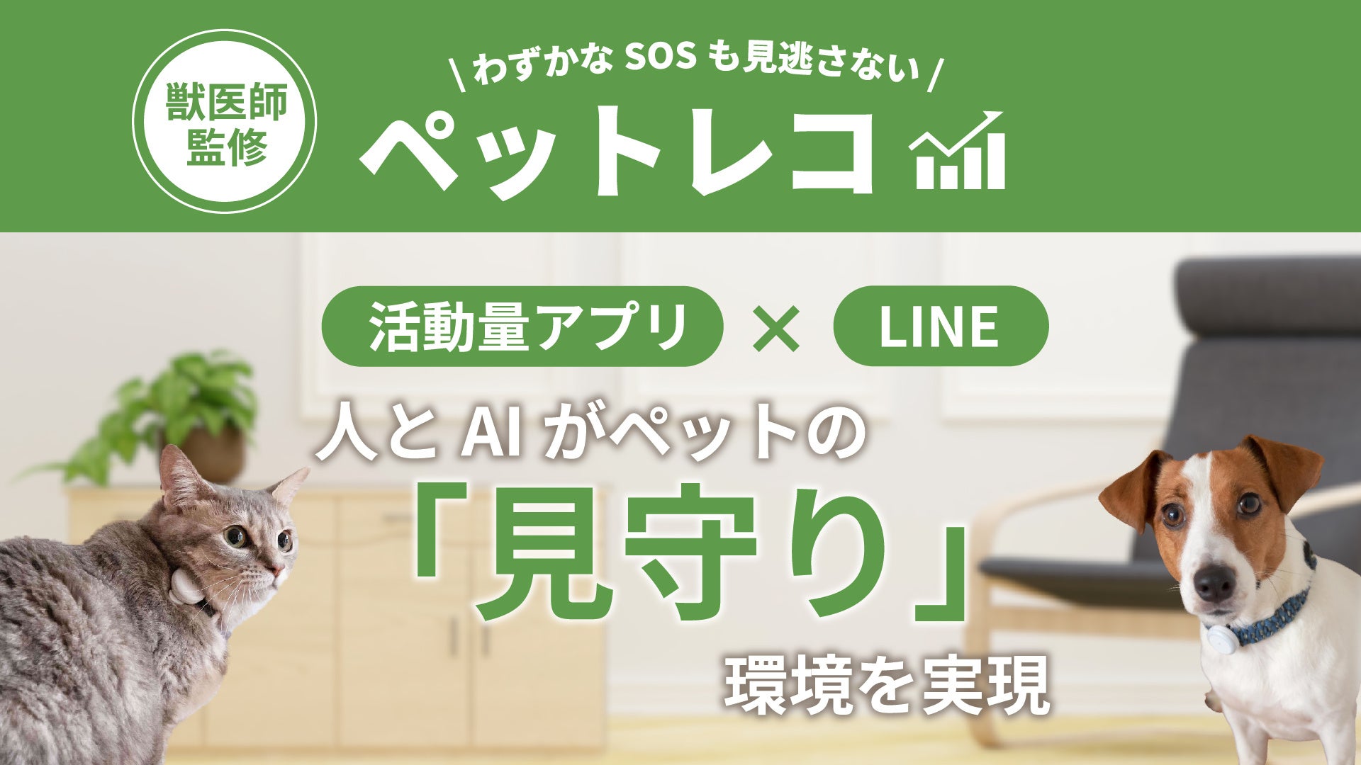 株式会社日本ペットシッターサービスの株式取得に関するお知らせのサブ画像2