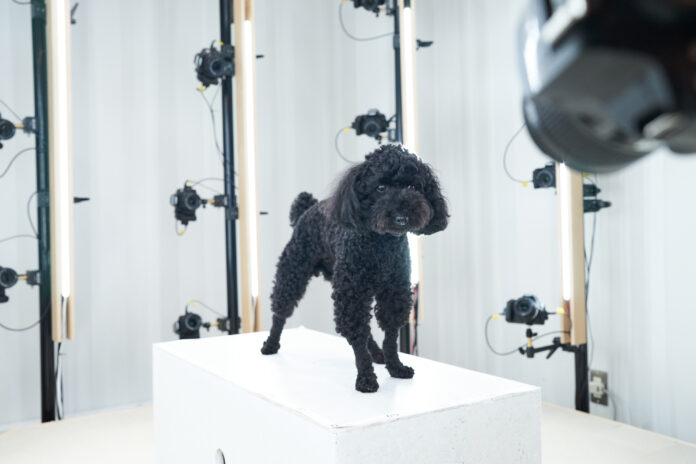 “世界で唯一、私だけのペットフィギュア” ３Ｄフォトスキャンを使用した造形サービス「Pet & 3D」の開始のメイン画像