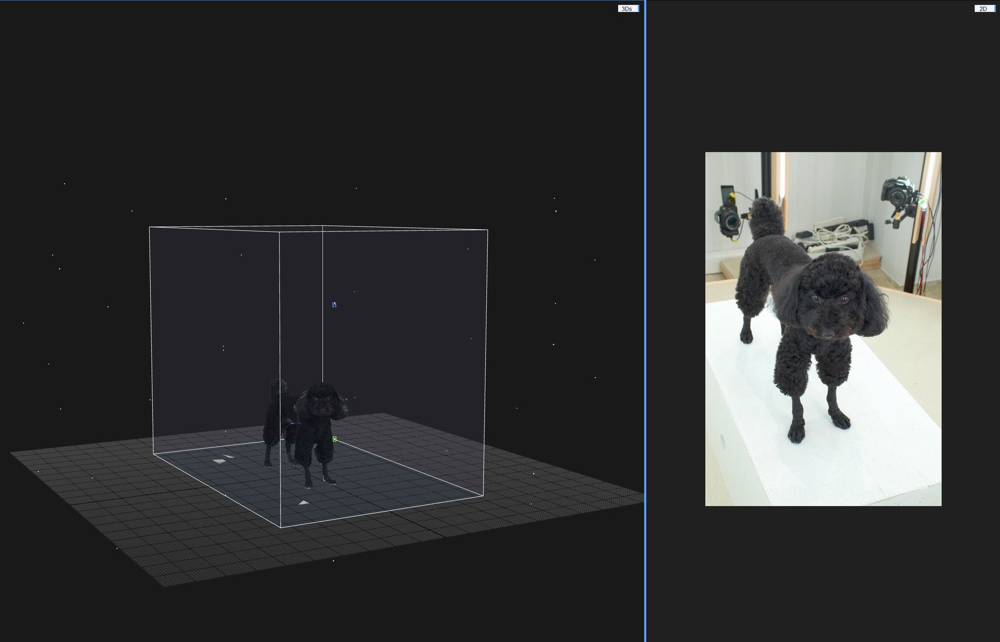 “世界で唯一、私だけのペットフィギュア” ３Ｄフォトスキャンを使用した造形サービス「Pet & 3D」の開始のサブ画像2_フォトグラメトリーによる3DCG画像