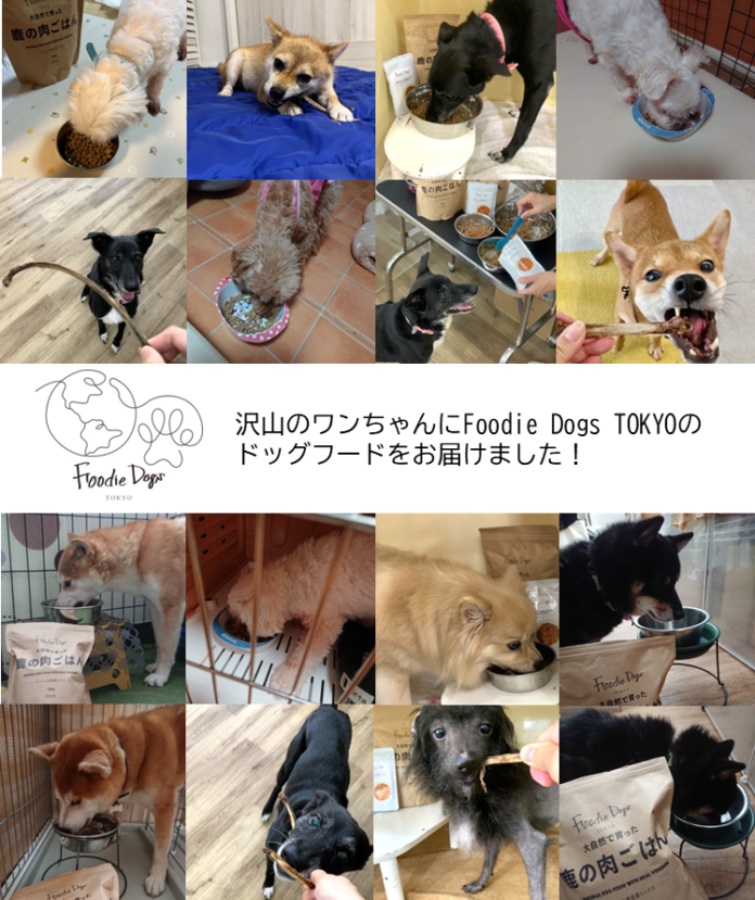 大切なワンちゃんはもちろん、地球の未来にもやさしいプレミアムドッグフードを展開するFoodie Dogs TOKYO＿動物愛護関連団体にドッグフード約1,500袋を寄付のメイン画像