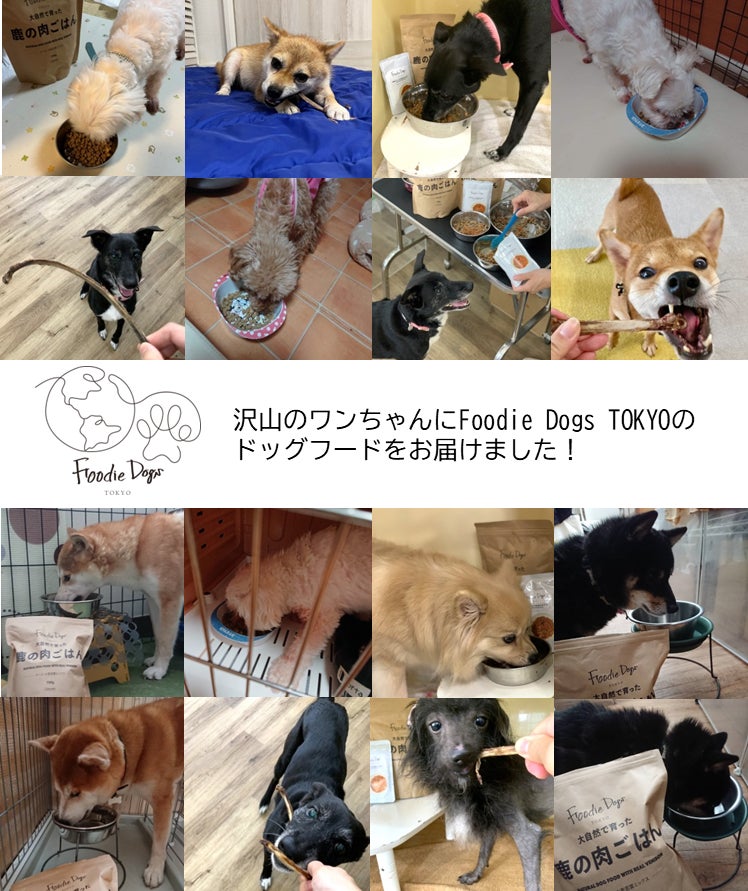 大切なワンちゃんはもちろん、地球の未来にもやさしいプレミアムドッグフードを展開するFoodie Dogs TOKYO＿動物愛護関連団体にドッグフード約1,500袋を寄付のサブ画像1